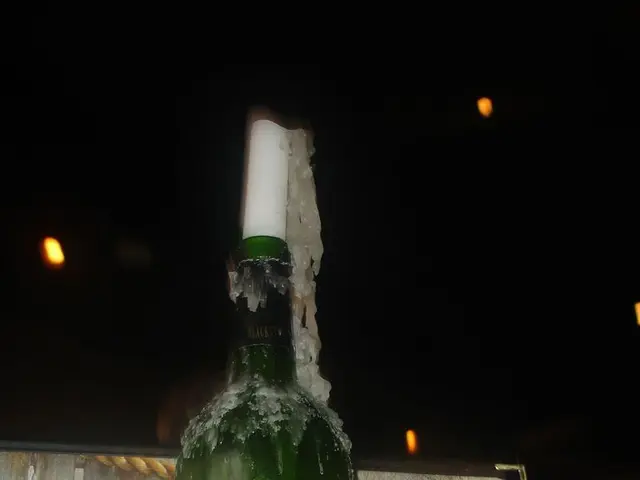 High-End Shopping Destination: Rodeo Drive