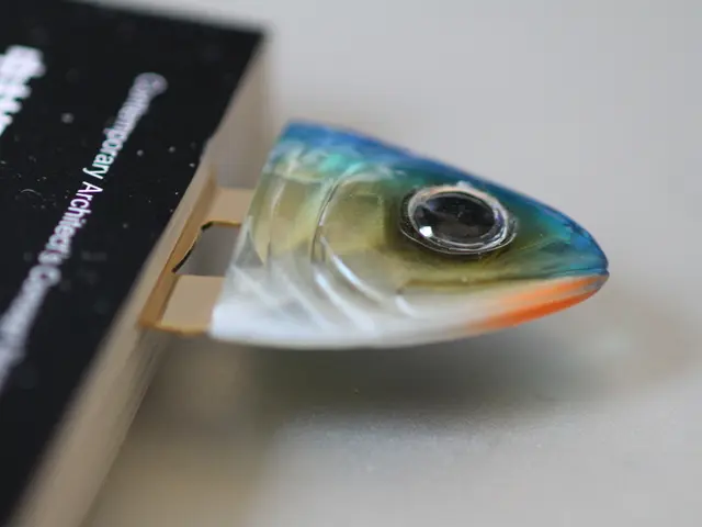 Expanding its reach, gaming platform BGaming amplifies rewards with the Big Tuna Bonanza event